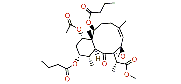 Briareolate ester F